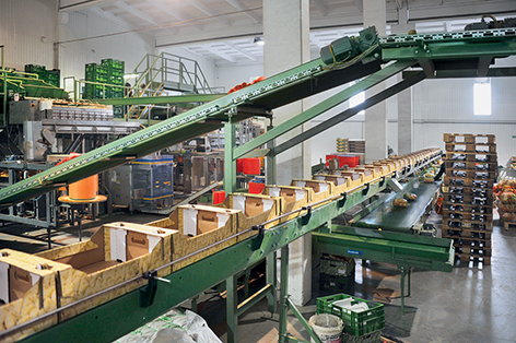 Belt conveyors for industry, undercarriages 